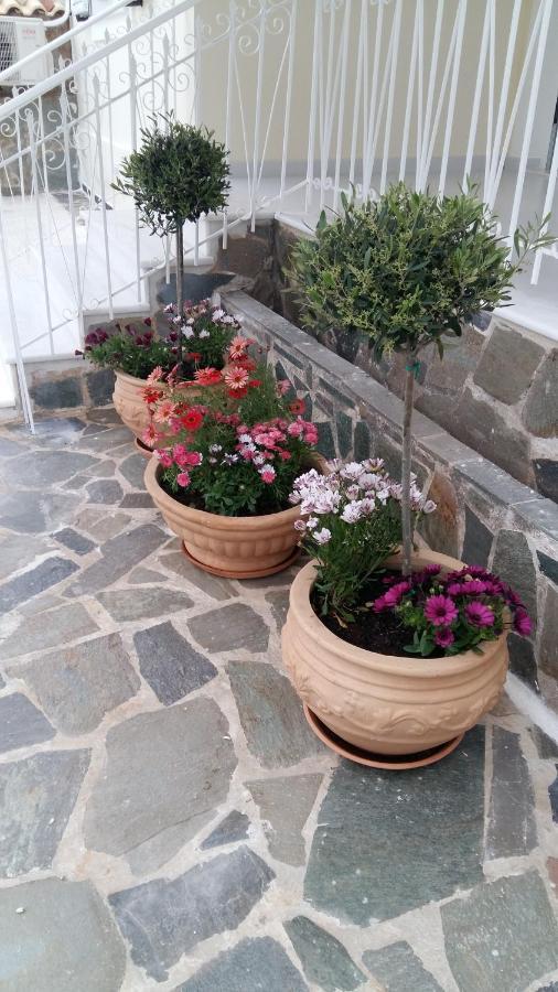 Nn Spata Rooms & Suites Near Athens Airport מראה חיצוני תמונה